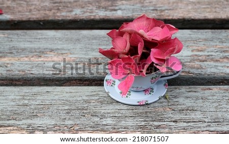 Toy duck egg blue tin cup and saucer on weathered wooden bench, with autumn faded pink hydrangea flowers, shabby chic, vintage image
