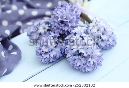 Blue lilac hyacinth on wooden pale duck egg blue painted wooden boards ,spotty periwinkle fabric in background, pretty spring image , shallow depth of field , mothers day