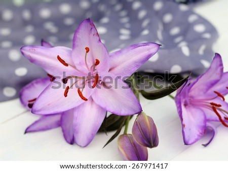 floral image of unusual dyed purple lilies with orange stamen , bright floral arrangement  , spotted blue fabric in background