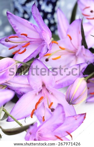 over exposed floral image of unusual dyed purple lilies with orange stamen , bright floral arrangement