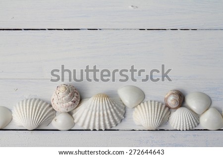 Border pattern of white British sea shells in a row on white painted floorboards, cockle shells, winkles and caycay, could be used for spa, wedding or seaside shabby chic