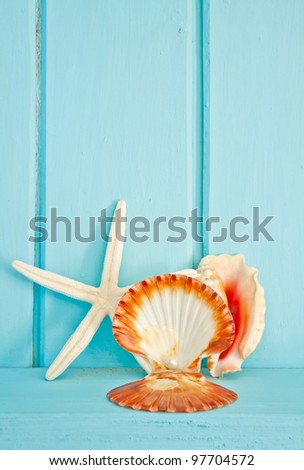 Shellfish decoration of the sea, Ocean decoration