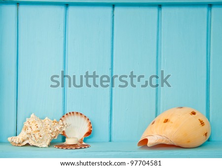 Shellfish decoration of the sea