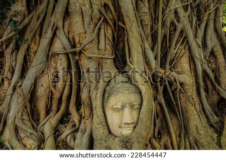 Head of Buddha in The Tree Roots , Ayutthaya, Thailand