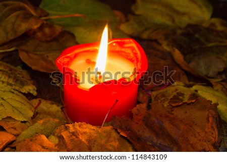 Red burning Candle at night with autumn leaves
