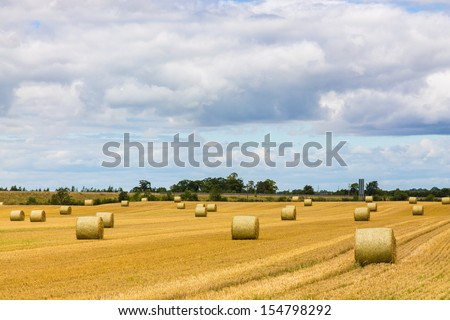 Round bales of hay spread out on Irish farmland