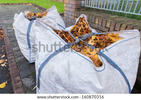 Two big bags filled with autumn leaves ready for collection
