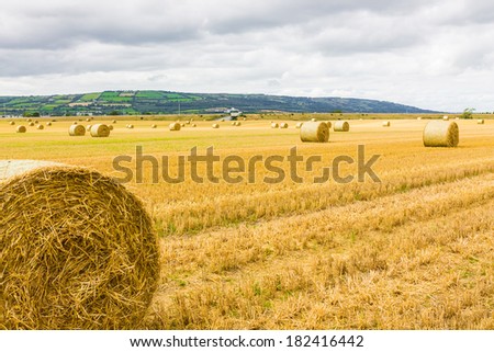 Round bales of hay spread over Irish farm land