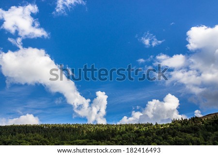 Mountain tree line and cumulus clouds