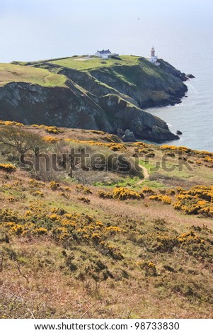 Hillside with Yellow peaflowers and green cliffs with a lighthouse and a helicopter landing zone