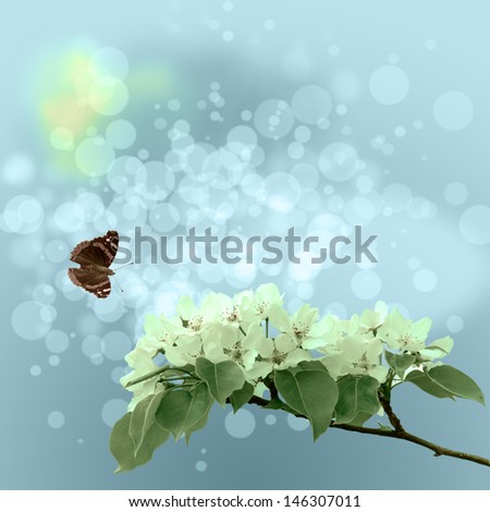 butterfly on the blooming apple tree on blue vintage background