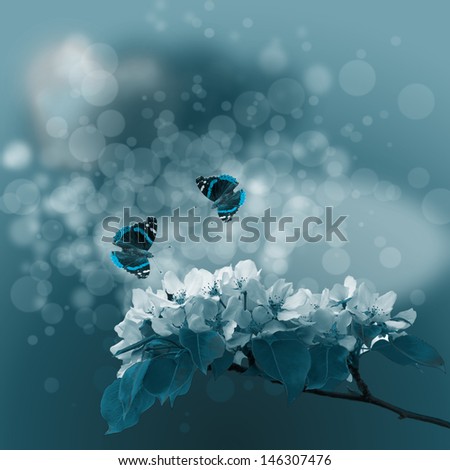 two butterflies on the blooming apple tree at dusk on dark blue vintage background