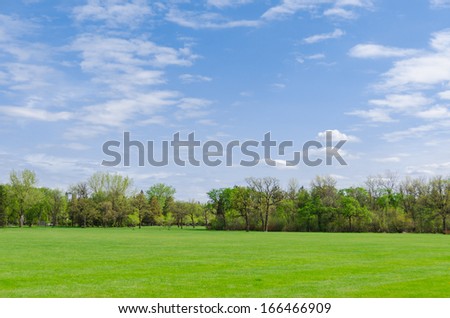 beautiful sunny day in park at spring time, blue cloudy sky, green lawn, leafy trees