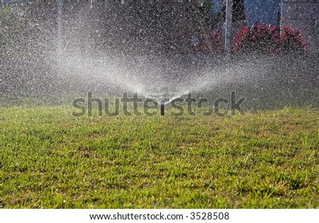 Water sprinkler wetting the front yard grass in the morning