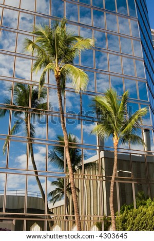Green palm trees reflecting an image off an office building