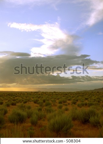 arizona desert sagebrush against thunderstorm
