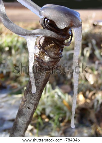 ice formed on wire and a metal stake