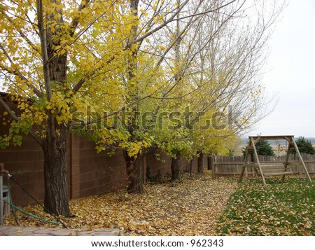 cloudy autumn day view of a yard and wooden swing