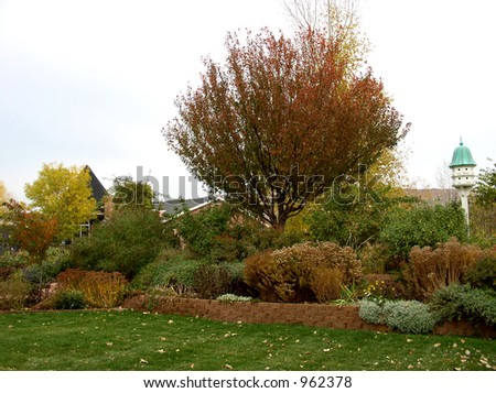 a landscaped yard in autumn