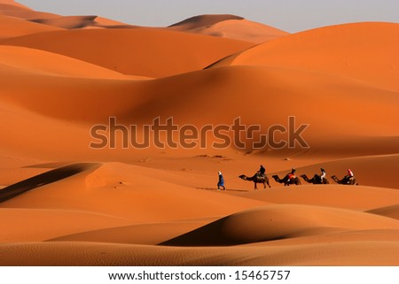 Camel Caravan on Africa s desert