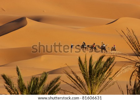 Camel Caravan on Africas desert
