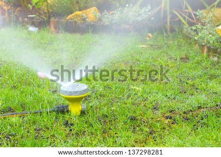 sprinkler watering the lawn in an urban garden