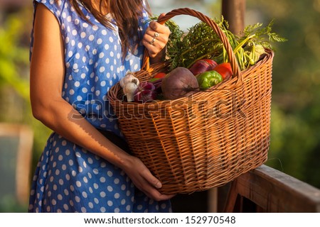 Woman Holding A Basket With Healthy Fresh Organic Vegetables. Harvest.
