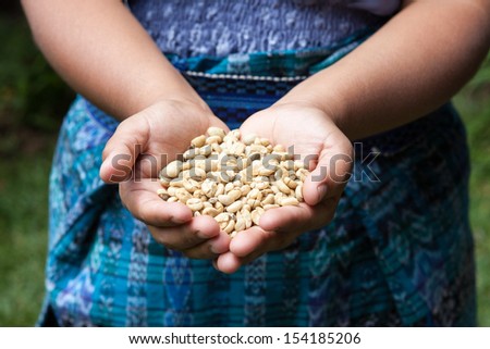 Handful of fresh organic coffee beans. Food and drink coffee background.