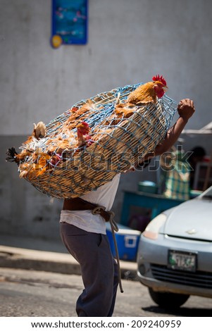 CHICHICASTENANGO, GUATEMALA - MAY 9: A man is carrying chicken to a weekly market in Chichicastenango (Chichi), Guatemala on 9 May 2013.