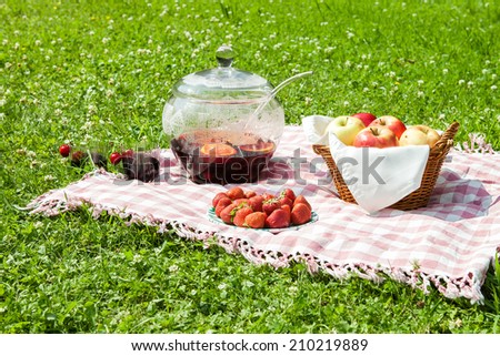Picnic lunch on the grass outdoors in park on sunny summer day.