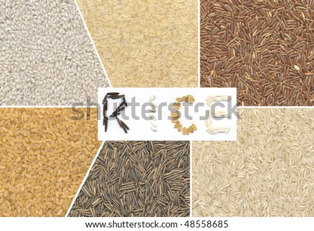 Close-up of rice variety from  the world, the word \