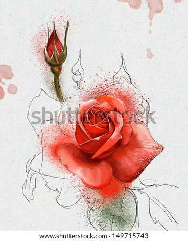 Color illustration of flowers in watercolor paintings Color illustration of flowers in watercolor paintings
