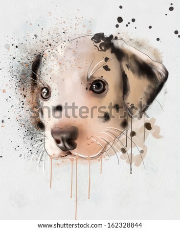 animal collection dalmations animal collection dalmations