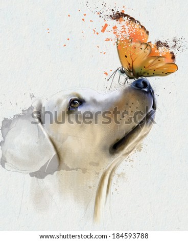Golden retriever dog with butterfly