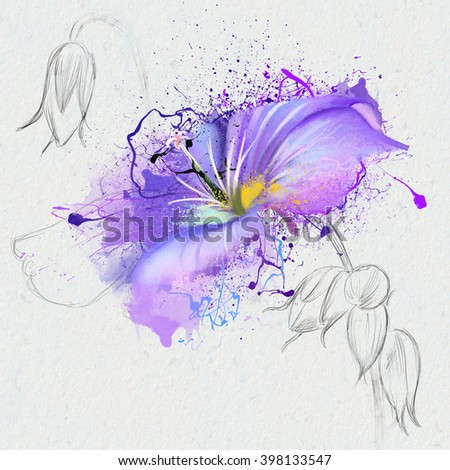 Purple wild flower, on a white background with splashes of paint and the element of the sketch, perfect as a print for clothing, bedding, cover illustration