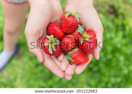 red strawberry in hand on nature