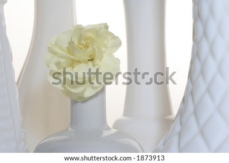 High key yellow carnation and white bud vases on white background.