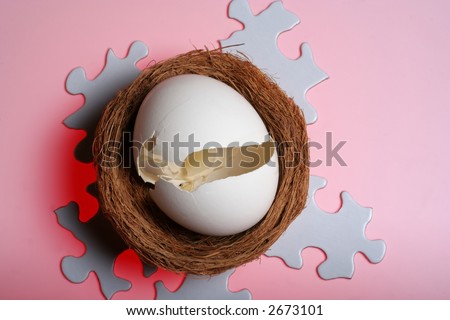 Which came first the egg or the chicken puzzle.