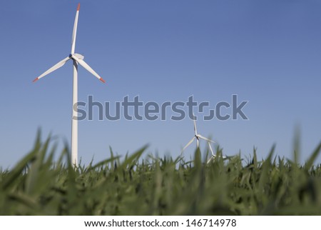 Wind farm on a green field. Worms-eye view. In front gras, background blue sky with wind farm