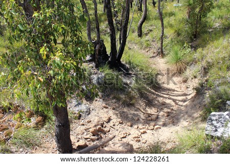 Dry creek bed of Crooked Brook  in summer  in national park, south Western Australia.