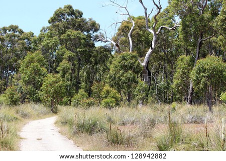 Sandy walk path through Manea Park Bunbury western Australia  where there is remnant bush land and many rare wild flowers growing.