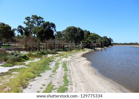 Bibra Lake western Australia after a long hot dry summer with  little water left for wild birds   but still a popular Perth city  metropolitan picnic place for families.