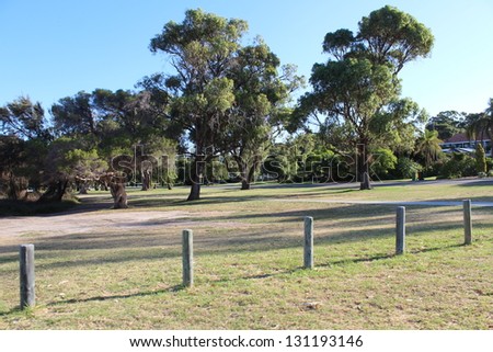 Rural Australian scene with eucalypt trees  and fenced paddock on an early autumn afternoon.