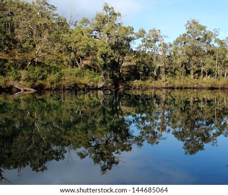 Ancient  slippery rock formations  and trees reflected in Collie River at Lennard falls in the Wellington national Park near Collie Western Australia  after a shower of rain in early winter .