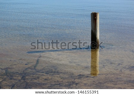 Old wooden poles in the    Leschenault Estuary Peninsula   conservation park near Australind  Western Australia on a calm day in early winter.