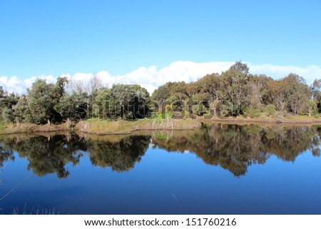 Mirror like   reflections on the lake at the  Big Swamp nature reserve Bunbury western Australia on a cloudy afternoon in early spring.