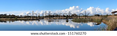 Panorama of the mirror like   reflections on the lake at the  Big Swamp nature reserve Bunbury western Australia on a cloudy afternoon in early spring.