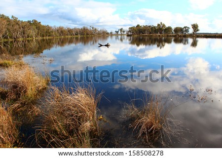 Reflections in the lake at the  Malbup Bird hide  in the  Tuart forest National park near Busselton south west Australia  on a cloudy afternoon after heavy spring rains .