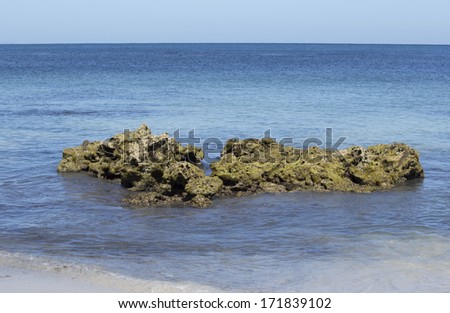 The  Indian Ocean washes over the seaweed covered  limestone rocks  at Hutt\'s beach near Bunbury western Australia on a fine sunny summer morning.