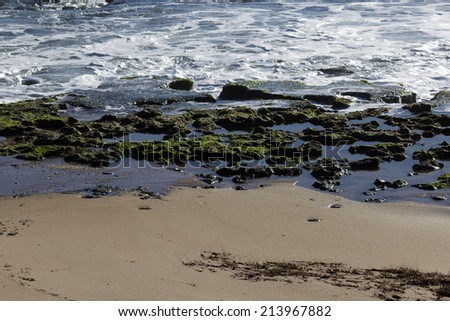 Indian Ocean waves breaking on green algae covered slimy  basalt rocks at  Ocean beach Bunbury Western Australia  with bubbling   white foam  on a  late afternoon in late  winter.